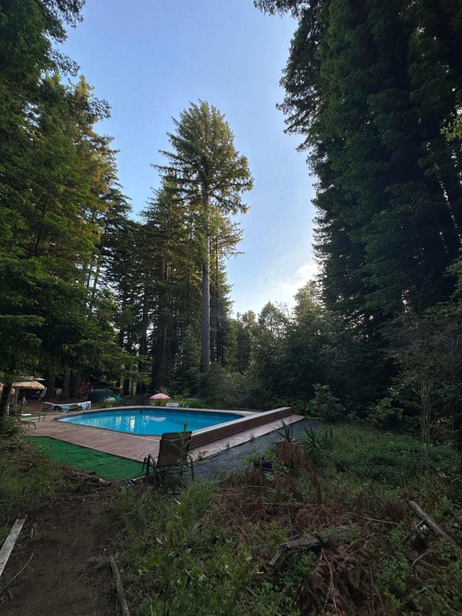 The Paradise Retreats Bonny Doon Exterior photo