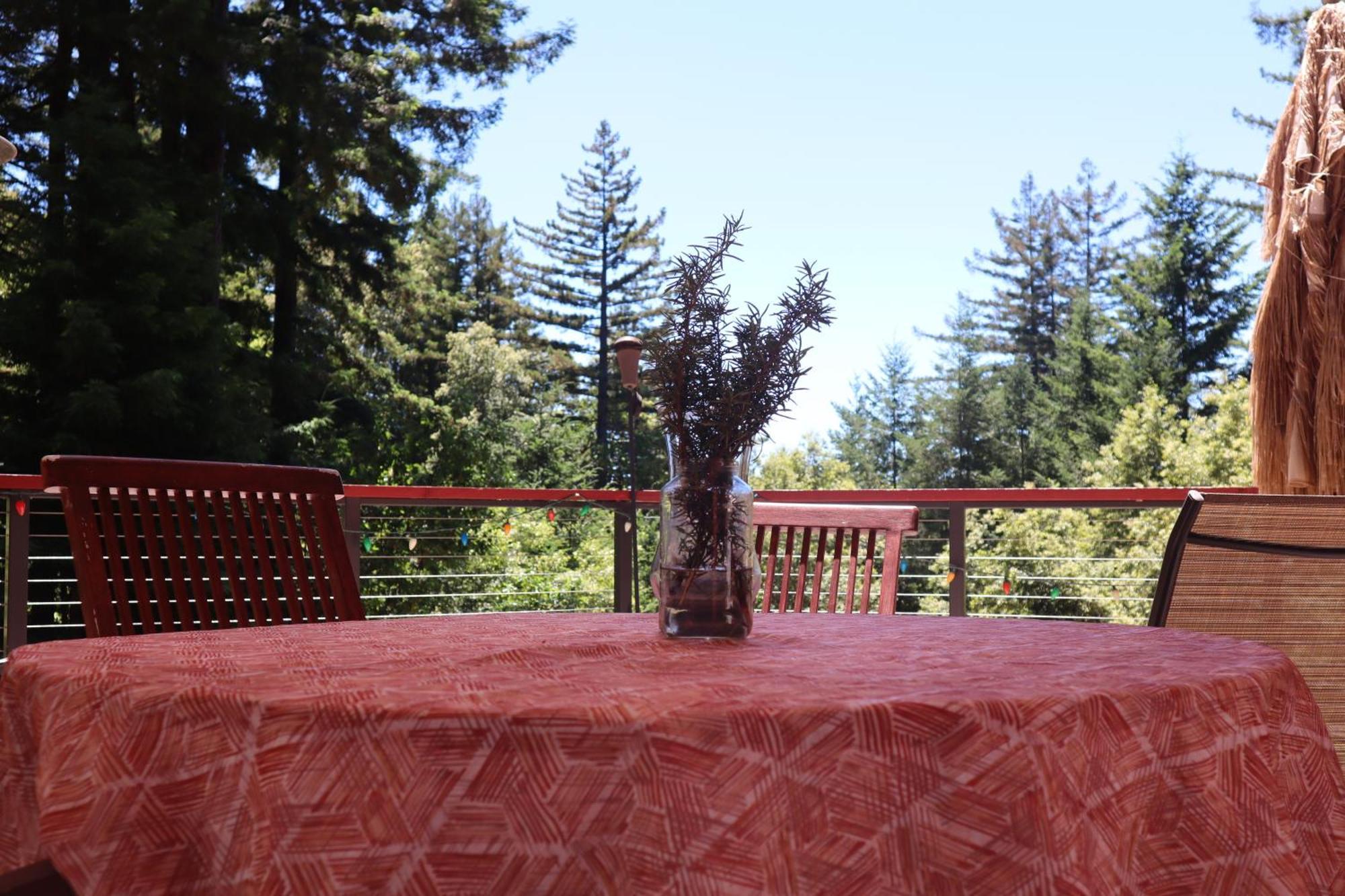 The Paradise Retreats Bonny Doon Exterior photo